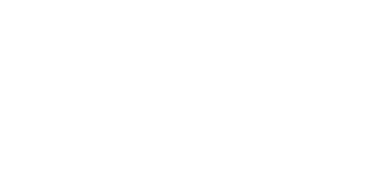MyBosa